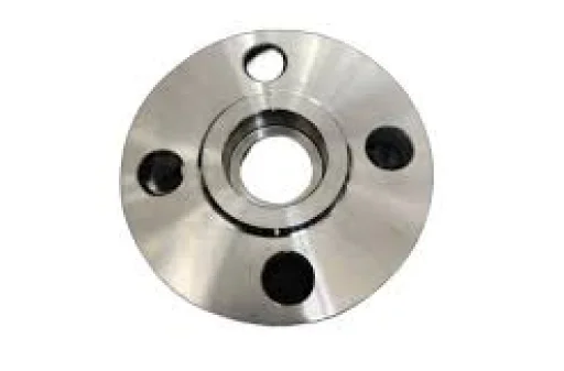 WNR 1.4404 Tongue Groove Flanges